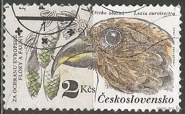 Чехословакия. Птицы. Клест-еловик. 1983г. Mi#2713.