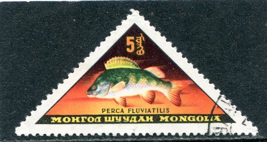 Монголия Фауна. Рыбы