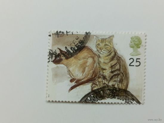 Великобритания 1995. Коты
