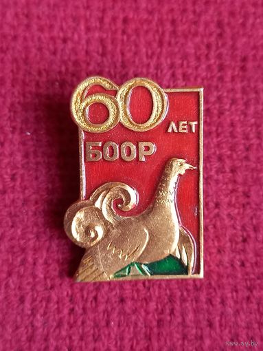 60 лет БООР