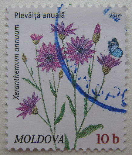 Марка Молдова 2016 г. Сухоцвет однолетний. Цена за 1 шт.