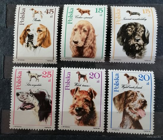 Польша 1989 собаки