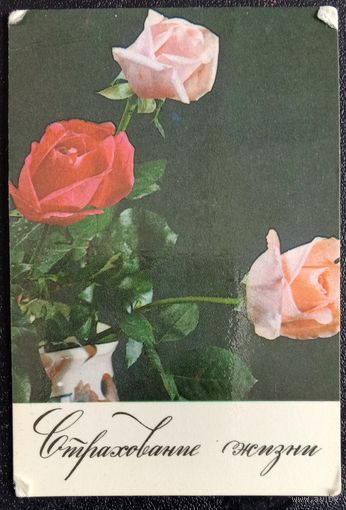 Календарь 1984