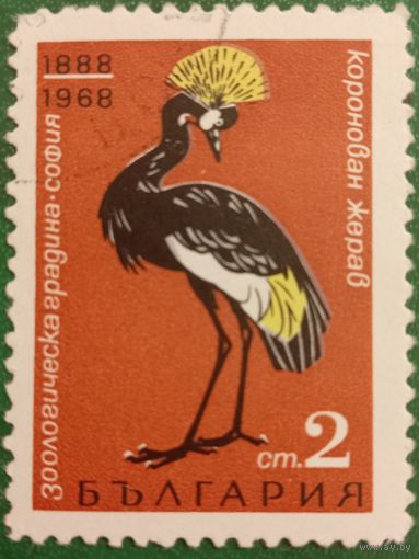 Болгария 1968. Венценосный журавль. Марка из серии