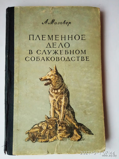 Мазовер А.  Племенное дело в служебном собаководстве. 1954г.