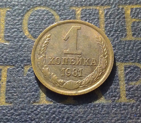 1 копейка 1981 СССР #24