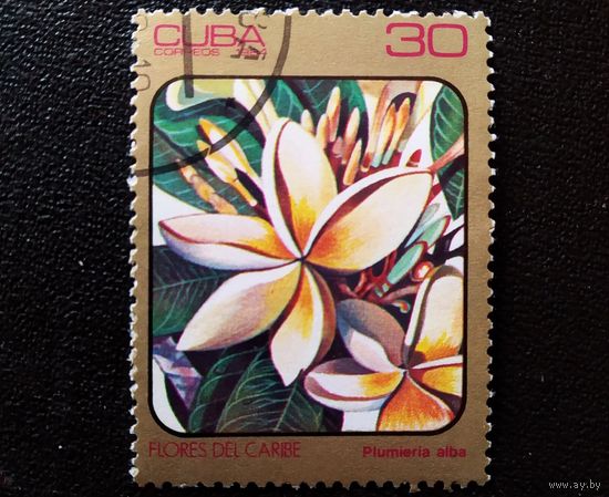 Марка Куба 1984 год Цветы