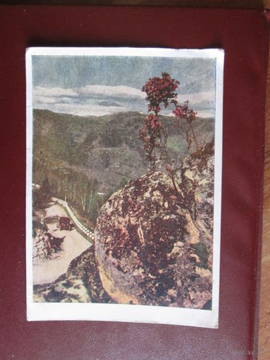 Почтовая открытка.СССР.1951г.