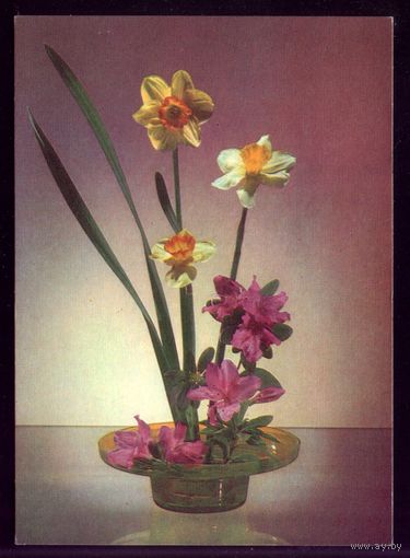 1979 год Р.Якименко