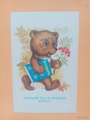 Открытка Шанецкий,1986 чистая