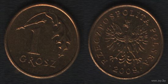 Польша y276 1 грош 2009 год (mw) (_alb2