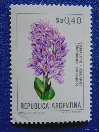 Аргентина. Цветы.