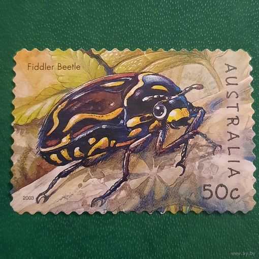 Австралия 2003. Фауна. Жуки. Fiddler Beetle