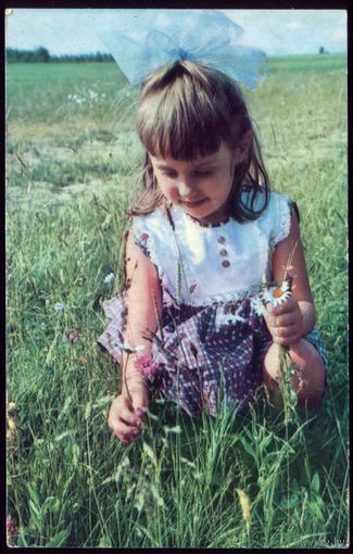1968 год Букет для мамы чист