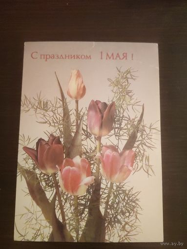 Открытка,1 мая,чистая