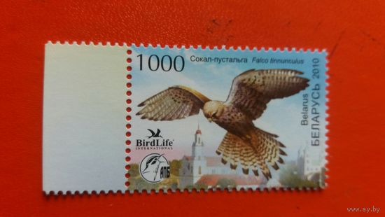 РБ  2010 птица года