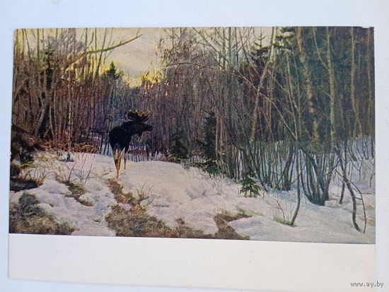 1956. Щербаков. Ранней весной