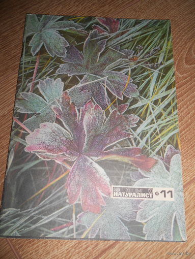 Юный натуралист 11/1972