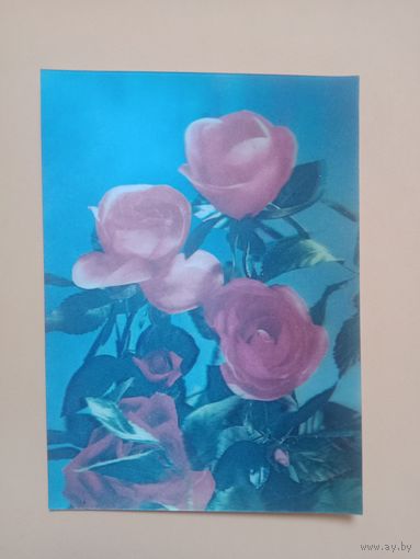 Стереофото,Генералова 1991 чистая