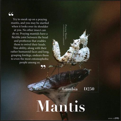 2020 Гамбия 7787/B1012 Насекомое - Богомол, цветы 12,50 евро