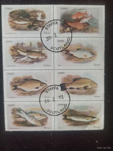 Стаффа. Фауна. Рыбы. Малый лист