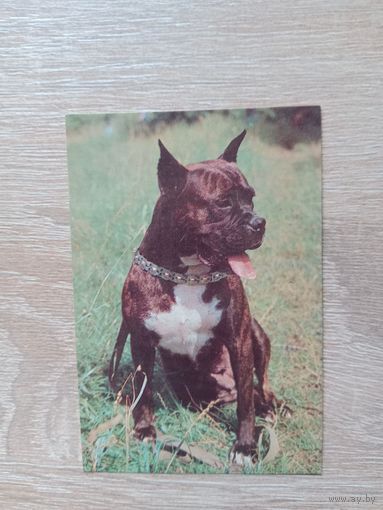 Календарик 1993