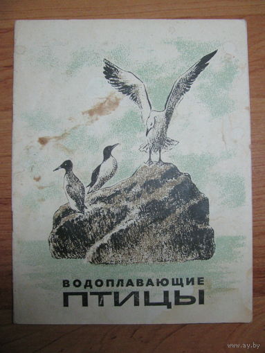 Раскраска "Водоплавающие птицы", 1973. Художник В.И. Морозов.