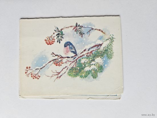 Жебелева 1986 С новым годом