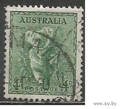 Австралия. Коала. 1937г. Mi#144.