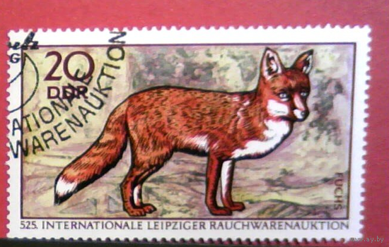 ГЕРМАНИЯ * ГДР 1970 * ФАУНА * ПУШНЫЕ ЖИВОТНЫЕ Лиса