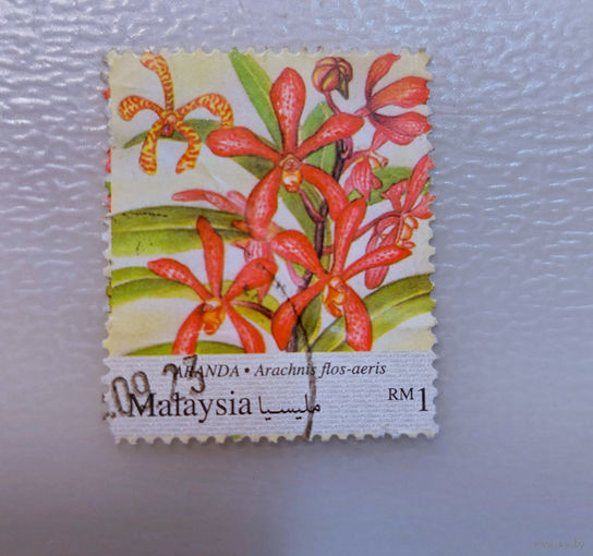 Малайзия. Флора. Цветы