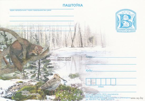 Беларусь 2010 ПК Лесная куница. Вальдшнеп (Лесной кулик) (к5)