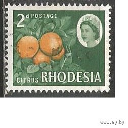 Родезия. Королева Елизавета II. Апельсины. 1966г. Mi#25.