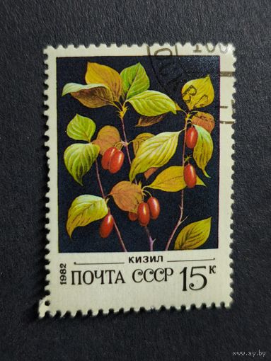 1982 СССР. Дикие ягоды. Кизил