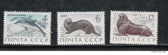 СССР-1971, (Заг.3964-3967) ** , Фауна,
