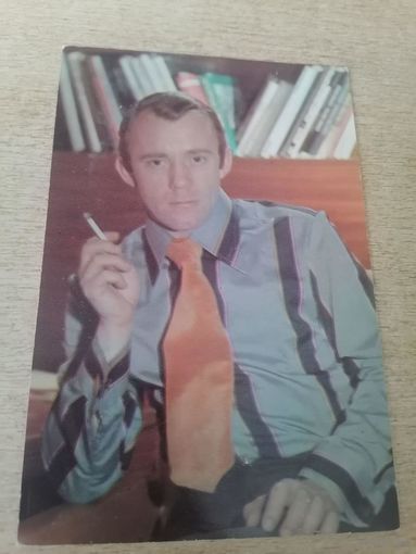 АКТЕР. Валерий Носик.