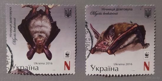 Летучие мыши. Украина, 2016