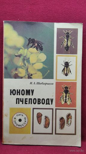И.А. Шабаршов  Юному пчеловоду