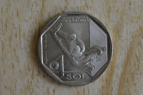 Перу 1 соль 2019 с 1 руб