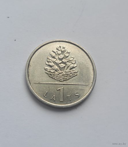 1 лат 2006 шишка