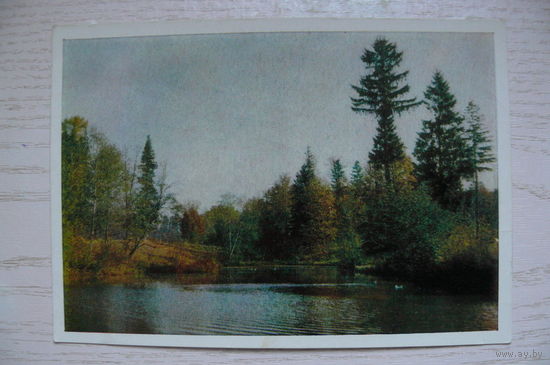 Кудрявцев К., Подмосковье; 1963, чистая.