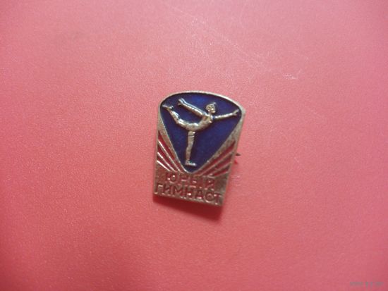 Значок. Юный гимнаст.