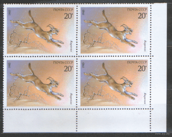 Заг. 5592. 1985. Каракал. КВАРТ. ЧиСт.
