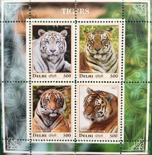 Индия 2017. Дейли. Тигры. Малый лист
