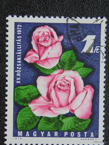 Венгрия 1972г. Флора.