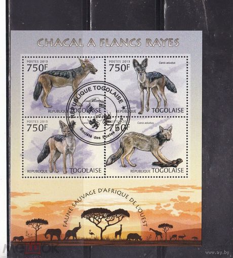 ЛИСТ ФАУНА животные  СТО