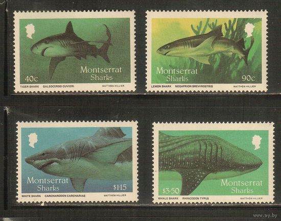 Монтсеррат-1987(Мих.666-669) , **    , Морская Фауна ,Рыбы(полная серия)