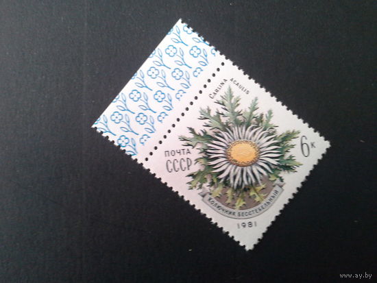 Ссср 1981. Колючник бестебельный.