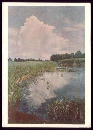 1951 год Миргород Река Хорол