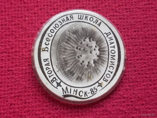 Вторая Всесоюзная школа Диатомистов Минск 1985 г.